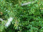4eIMG_1813.jpg