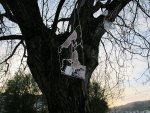 F2IMG_9454.jpg