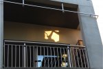 9IMG_0358b.jpg